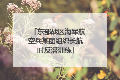 东部战区海军航空兵某团组织长航时反潜训练