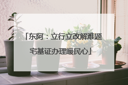 东阿：立行立改解难题 宅基证办理暖民心