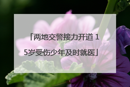 两地交警接力开道 15岁受伤少年及时就医