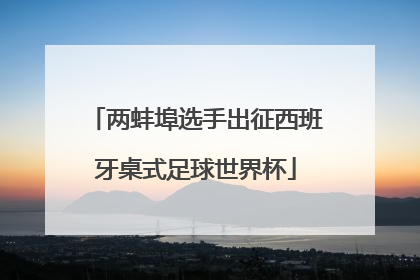 两蚌埠选手出征西班牙桌式足球世界杯