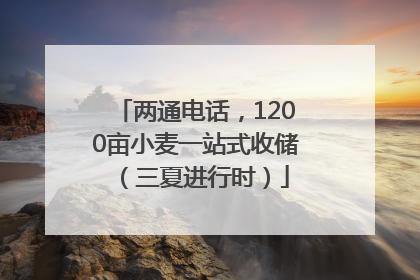 两通电话，1200亩小麦一站式收储（三夏进行时）