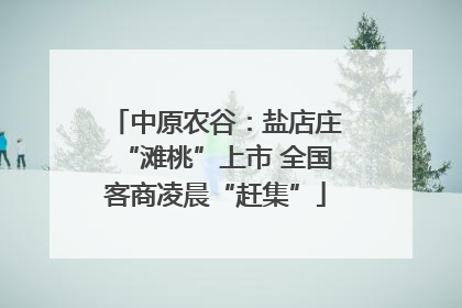 中原农谷：盐店庄“滩桃”上市 全国客商凌晨“赶集”