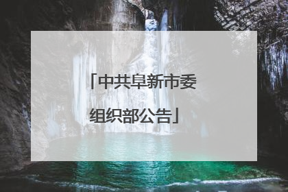 中共阜新市委组织部公告