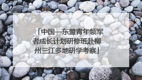 中国—东盟青年领军者成长计划研修班赴柳州三江多地研学考察
