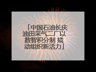 中国石油长庆油田采气二厂以数智积分制 撬动组织新活力
