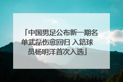 中国男足公布新一期名单武磊伤愈回归 入籍球员杨明洋首次入选