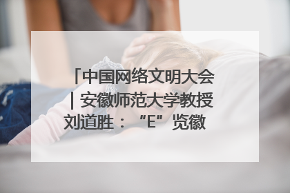中国网络文明大会｜安徽师范大学教授刘道胜：“E”览徽风，构筑中华民族共有精神家园