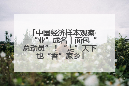 中国经济样本观察·一“业”成名丨面包“总动员”！“走”天下也“香”家乡