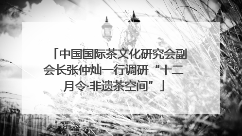 中国国际茶文化研究会副会长张仲灿一行调研“十二月令·非遗茶空间”