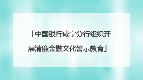 中国银行咸宁分行组织开展清廉金融文化警示教育
