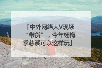中外网络大V现场“带货”，今年杨梅季慈溪可以这样玩