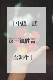 中超：武汉三镇胜青岛海牛