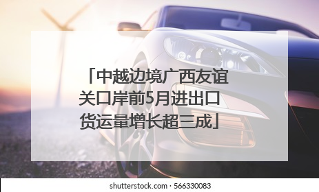 中越边境广西友谊关口岸前5月进出口货运量增长超三成