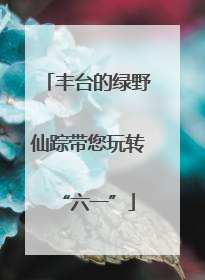 丰台的绿野仙踪带您玩转“六一”