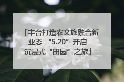 丰台打造农文旅融合新业态 “5.20”开启沉浸式“田园”之旅