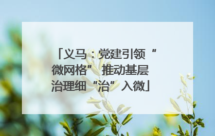 义马：党建引领“微网格” 推动基层治理细“治”入微