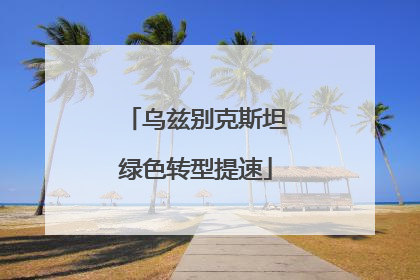 乌兹别克斯坦绿色转型提速