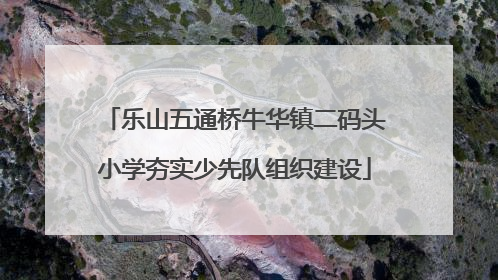乐山五通桥牛华镇二码头小学夯实少先队组织建设