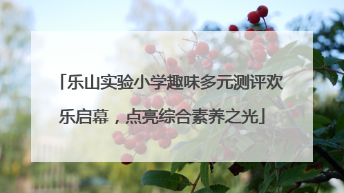 乐山实验小学趣味多元测评欢乐启幕，点亮综合素养之光