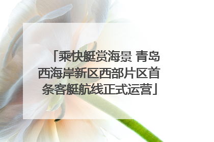 乘快艇赏海景 青岛西海岸新区西部片区首条客艇航线正式运营