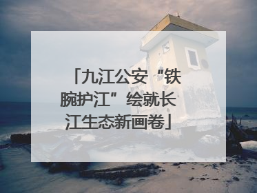九江公安“铁腕护江”绘就长江生态新画卷
