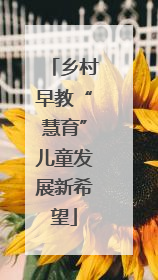 乡村早教“慧育”儿童发展新希望