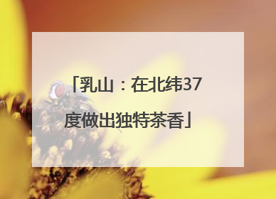 乳山：在北纬37度做出独特茶香