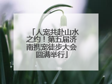 人宠共赴山水之约！第五届济南携宠徒步大会圆满举行