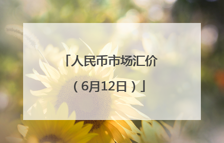 人民币市场汇价（6月12日）