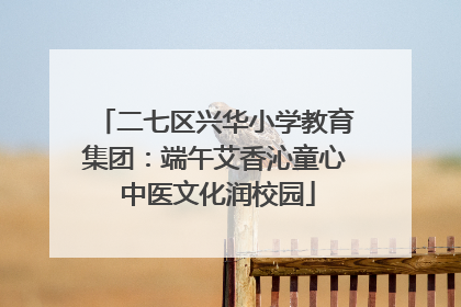 二七区兴华小学教育集团：端午艾香沁童心 中医文化润校园
