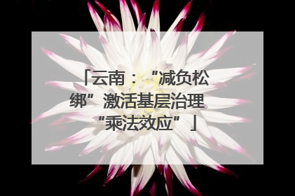 云南：“减负松绑”激活基层治理“乘法效应”