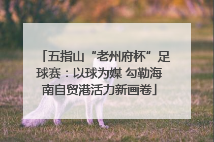 五指山“老州府杯”足球赛：以球为媒 勾勒海南自贸港活力新画卷