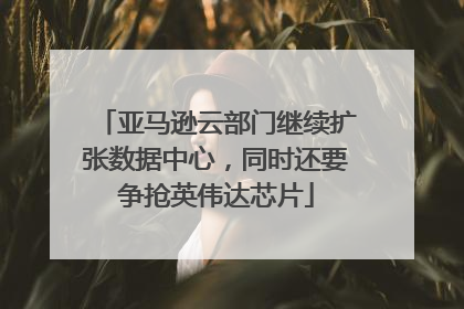 亚马逊云部门继续扩张数据中心，同时还要争抢英伟达芯片