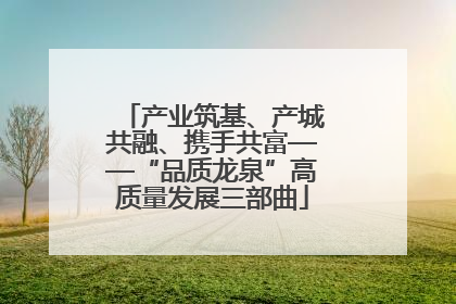 产业筑基、产城共融、携手共富——“品质龙泉”高质量发展三部曲
