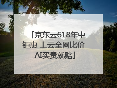 京东云618年中钜惠 上云全网比价 AI买贵就赔