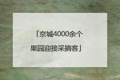 京城4000余个果园迎接采摘客
