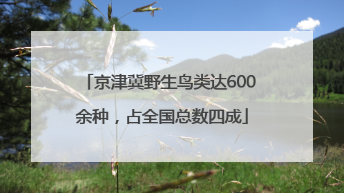 京津冀野生鸟类达600余种，占全国总数四成