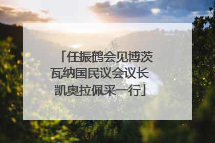任振鹤会见博茨瓦纳国民议会议长凯奥拉佩采一行