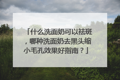 什么洗面奶可以祛斑，哪种洗面奶去黑头缩小毛孔效果好指南？