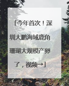 今年首次！深圳大鹏海域鹿角珊瑚大规模产卵了，视频→