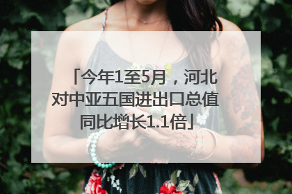 今年1至5月，河北对中亚五国进出口总值同比增长1.1倍