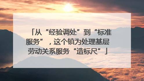 从“经验调处”到“标准服务”，这个镇为处理基层劳动关系服务“造标尺”