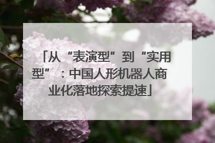 从“表演型”到“实用型”：中国人形机器人商业化落地探索提速