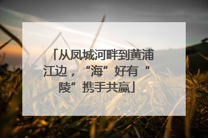 从凤城河畔到黄浦江边，“海”好有“陵”携手共赢