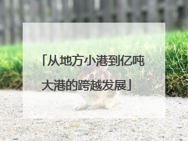 从地方小港到亿吨大港的跨越发展