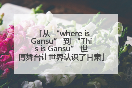 从 “where is Gansu” 到 “This is Gansu” 世博舞台让世界认识了甘肃