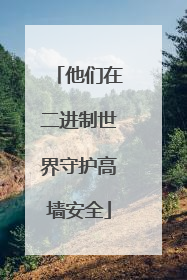 他们在二进制世界守护高墙安全