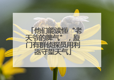 他们能读懂“老天爷的脾气”，厦门有群侦探员用利器守望天气