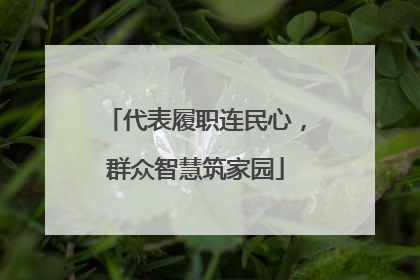 代表履职连民心，群众智慧筑家园