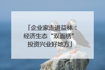 企业家走进益林：经济生态“双面绣” 投资兴业好地方